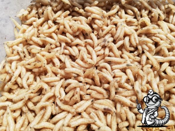 Fleischmade lose